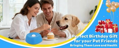 Slow Lick Anti-Choke Dog Bowl