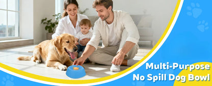 Slow Lick Anti-Choke Dog Bowl