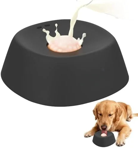 Slow Lick Anti-Choke Dog Bowl