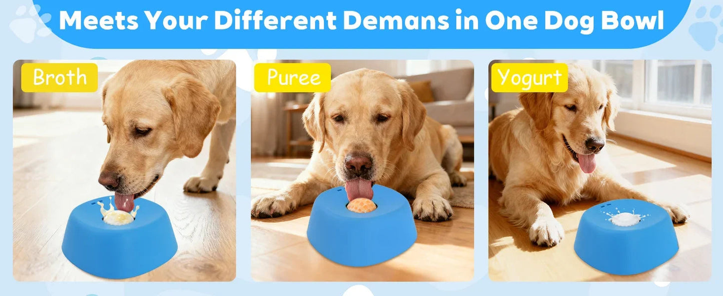 Slow Lick Anti-Choke Dog Bowl