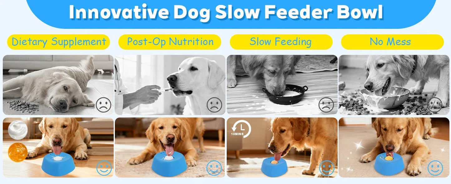Slow Lick Anti-Choke Dog Bowl
